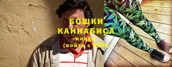 мдма Гусев