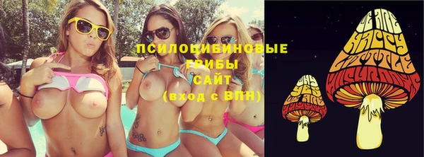 ешки Горно-Алтайск