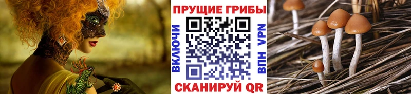 Галлюциногенные грибы GOLDEN TEACHER  мега ТОР  Макарьев  даркнет сайт 